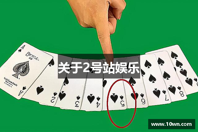 关于2号站娱乐